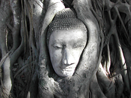 Le forme pensiero